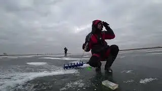 Ловля щуки на жерлицы! Как ловили в СССР!