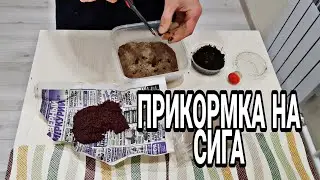 #прикормка
