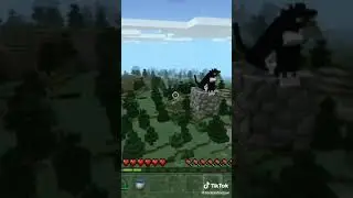 КОТ ИЛИ СОБАКА🤗❤️ 