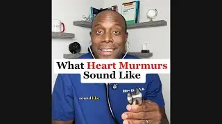 What Heart Murmurs Sound Like
