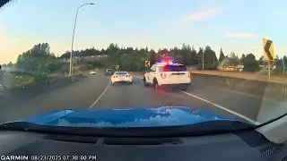 IDIOTS IN CARS 