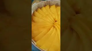 Honey mango amazake cheesecake 🎅🎄👨‍🍳🎂 