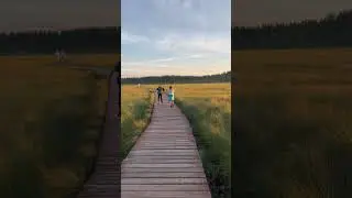 Какие они классные)) экотропа 2022