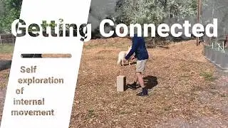 Internal Training of Ying Lung Hsing - Some of My Quarantine Training