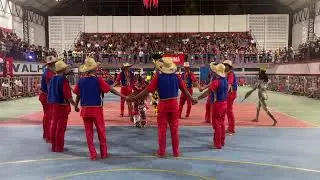 Boi bumbá Estrela Guia do Guaruma , abertura do concurso de quadrilhas em Abaetetuba 2024