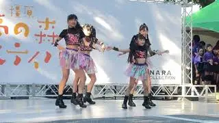 可愛いジュニアアイドルダンス17