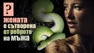 Висшата мъдрост на Тора