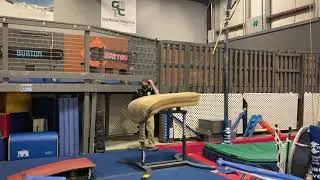Zach Miller (junior) Vault