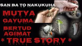 GAYUMA BERTUD AT AGIMAT (TRUE STORY) KWENTONG BAYAN
