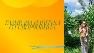 Газирана напитка от свирчовина /дървесен бъз/.