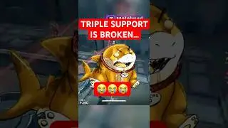 The TRIPLE Support PROBLEM... 