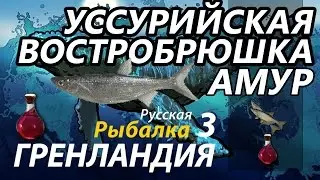 Уссурийская востробрюшка Амур / РР3 [Русская Рыбалка 3 Гренландия]