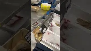 Метро. Одесса. Дочь в Одессе снимает  видео  для мамы во Францию.