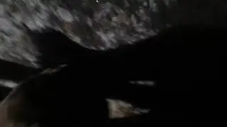 Охтота на Косуль.