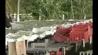 Video 2