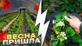 Весна пришла