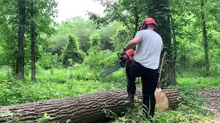 Husqvarna 572XP break in!!!