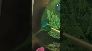Как нарисовать каплю акрилом!