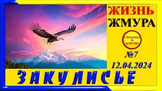 ЗАКУЛИСЬЕ N7. ЖИЗНЬ ЖМУРА. 12.04.2024