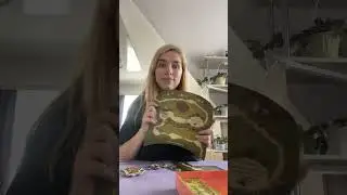 Распаковка допа Фестиваль 