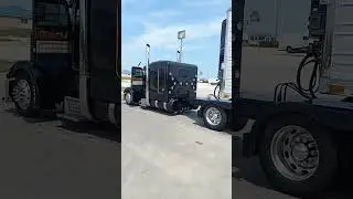 379 peterbilt flat top