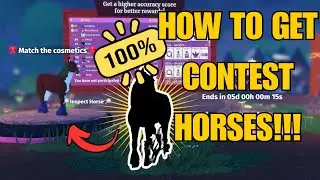 HOW TO GET CONTEST HORSES OVER 80%!! Horse life