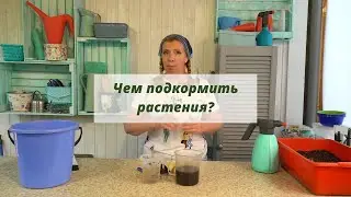 Чем подкормить растения