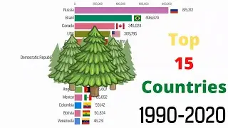 Top 15 Countries By Forest Area (1990-2020)