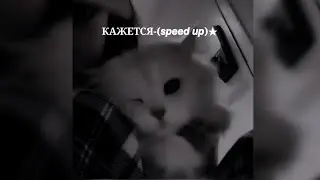 Кажется-(𝙨𝙥𝙚𝙚𝙙 𝙪𝙥)★