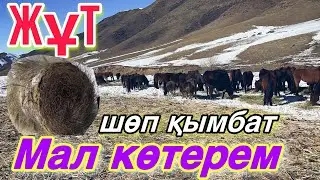 Еттің бағасын КӨТЕРУ керек! Биылғы қыс шаруаларға оңай болмады!
