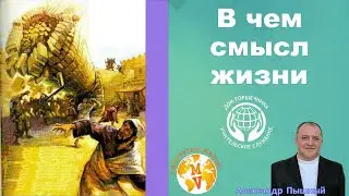 Александр Пышный - В чем смысл жизни
