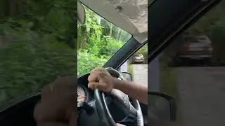 Serene Drive Through Kerala’s Lush Greenery 🌿 | 1-Minute Scenic Journey