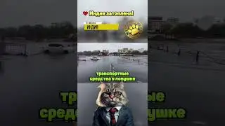 💔 Индия затоплена!
