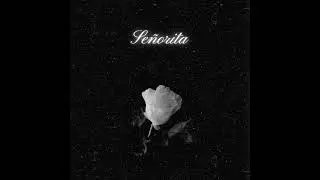 NIVLA - Señorita (Audio)