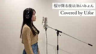 桜が降る夜は/あいみょん　U.forカバー動画Vol.143