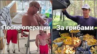 После операции. Пока Альбертик в больнице Я....