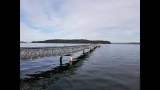 Harper Pier Community Meeting