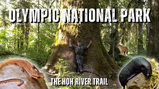 HIKING with Bare Hands Beran | Exploring The Pacific Northwest | Olympic National Park - Ep. 1