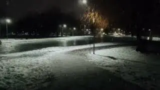 Падаючий сніг в парку