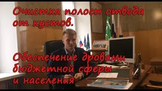Очистка полосы отвода от кустов. Шабалинский район
