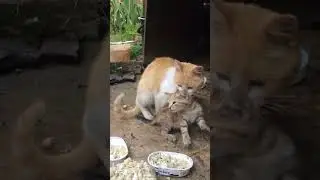 ГЛУПЫЙ И ЕЩЁ ГЛУПЕЕ