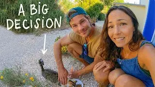 TIME FOR CHANGE... NEXT STEPS ON OUR OFF-GRID HOMESTEAD.