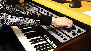 Oberheim OBX-8 + Vermona Spring Reverb DSR-3 Demo
