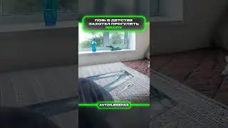 Не хочешь в школу | меллстрой