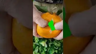 Orange Opening Green Screen Template Video. Kinemaster Template Video 
