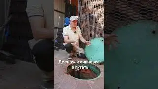ДРЕНАЖ VS ЛИВНЕВКА #shorts #дренаж #ливневка