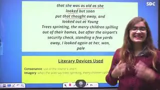 Class 12th My mother at sixty six - Flamingo - Summary in Hindi 
