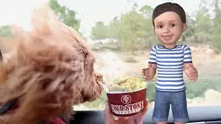 Cold Stone Creamery Murabella Saint Augustine