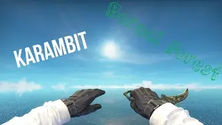 Karambit Boreal Forest I Showcase