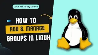 Master Group Management in Linux: Add & Manage Groups | Linux Job Ready Course | Decrypt3r